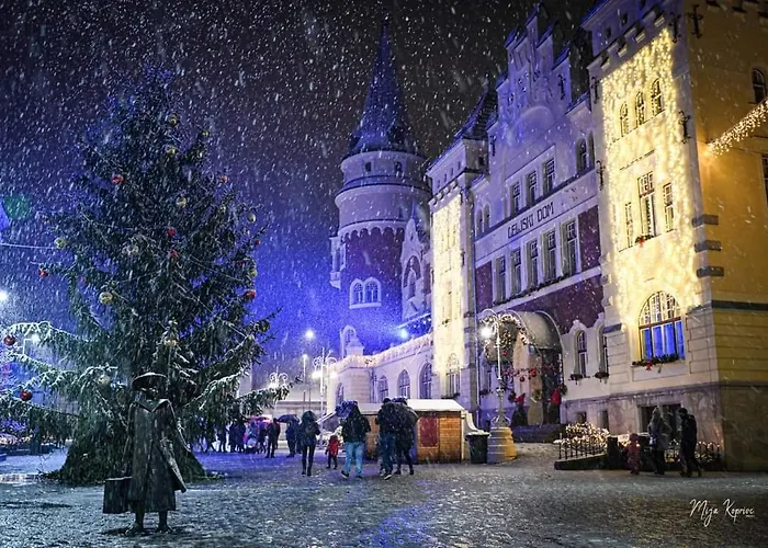 Keleia דירה צליה